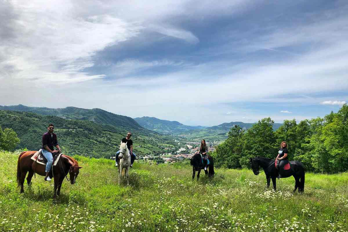 Maneggi e Passeggiate a Cavallo in Oltrepò Pavese